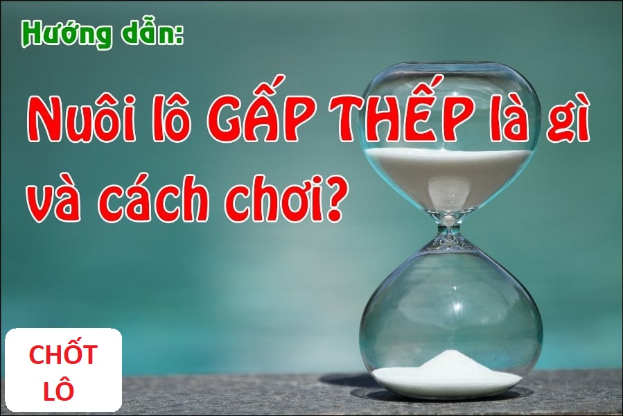 Nuôi lô gấp thếp là gì và cách chơi như thế nào? chotlo.com